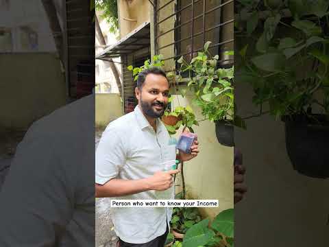 Person who wants to know your Income. #comedyshorts #funnyshorts #funnyreels