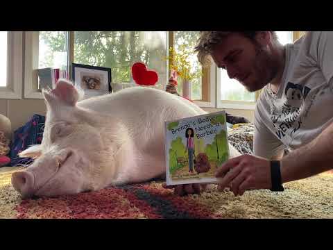 Storytime with Esther T.W. Pig: Brenda’s Beaver Needs a Barber