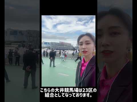 【江東区議会】大井競馬場視察 #江東区 #江東区議会議員