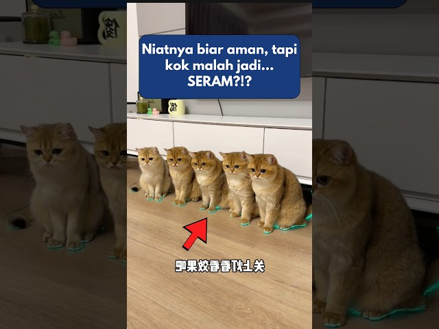 Niatnya Aman, Malah Bikin Panik