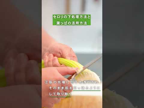 【これでスッキリ🌟】セロリの下処理方法と葉っぱの活用方法
