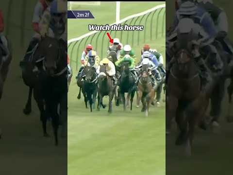 A brilliant ride by Billy Loughnane on Beylerbeyi 🔥#horseracing