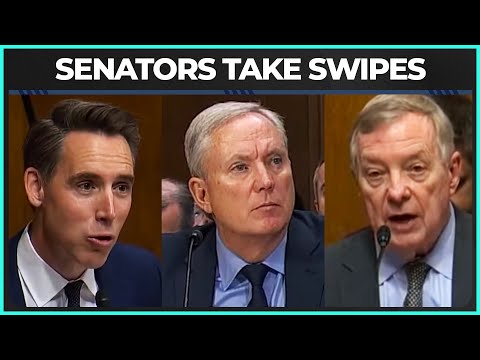 Visa, Mastercard Execs Get SPANKED In Senate Hearing