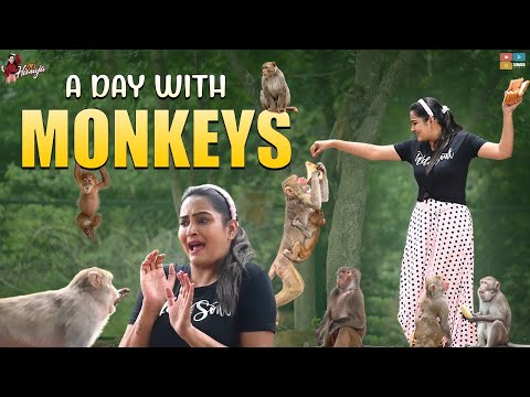 Bigg Boss fame Himaja spends a day with monkeys Bigg Boss fame Himaja spends a day with monkeys