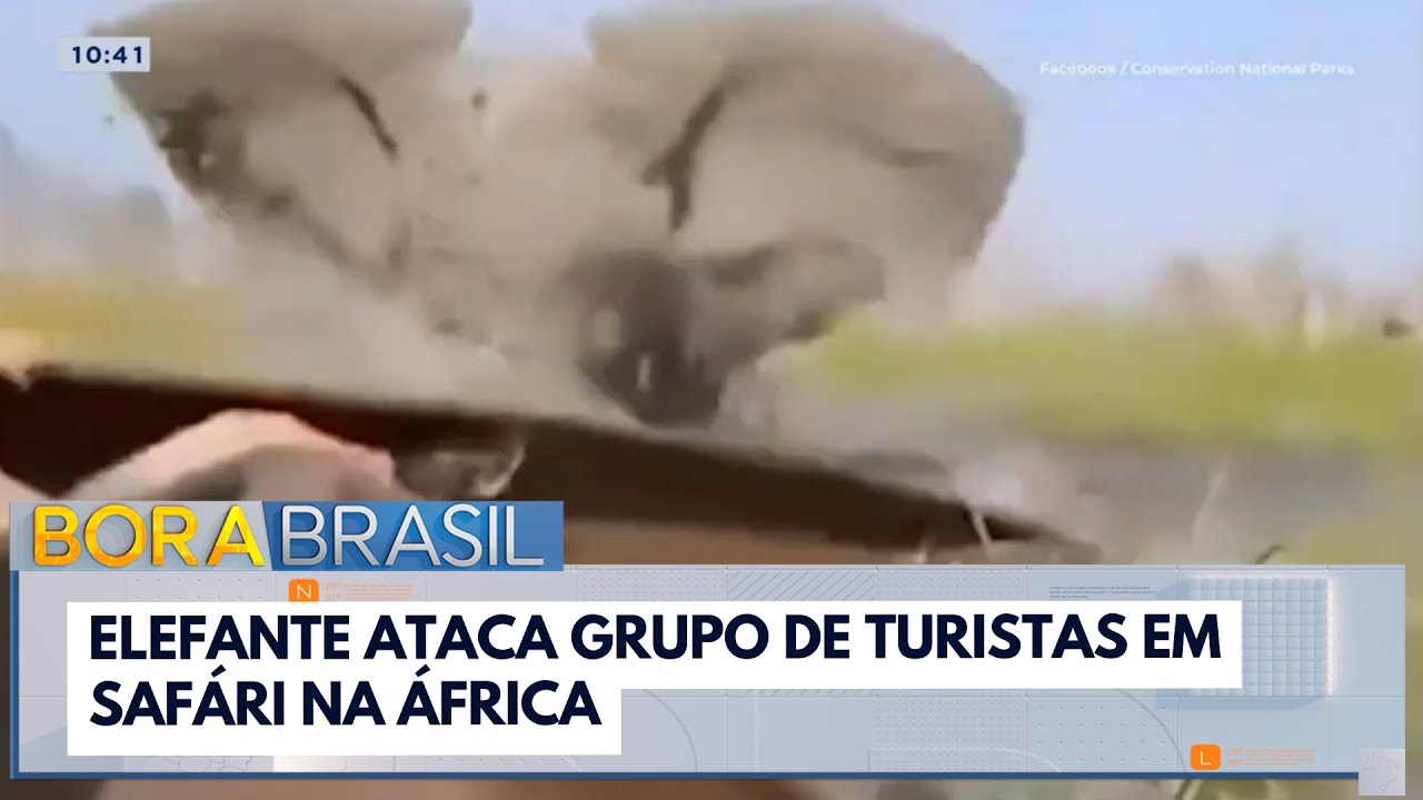 Elefante ataca grupo de turistas em safári na África