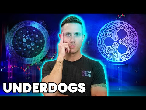 Cardano (ADA) & XRP | Crypto UNDERDOGS Pack A Powerful Punch
