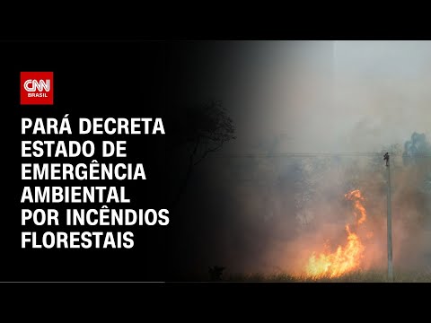 Pará decreta estado de emergência ambiental por incêndios florestais | CNN NOVO DIA