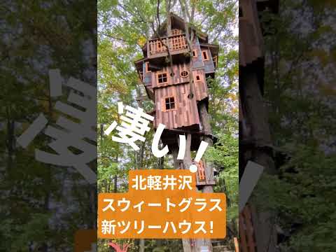 北軽井沢スウィートグラス新しいツリーハウス ハロウィン期間中#ハロウィン #キャンプ #旅行