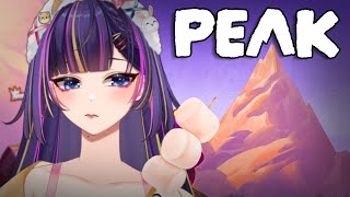CAN I REACH THE PEAK? ALONE OR WITH FRIENDS | PEAK
