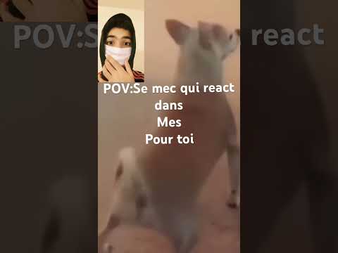 #valorant #humour # short# POV # animal #minecraft #fortnite #drole #slt #valorantclips #vairal