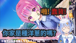 【兔田佩克拉】對あてぃし前輩超機車的家暴兔