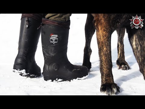 Tough Hardwearing Cold Weather Safety Boots I Helped Develop - Pinnip Alaska