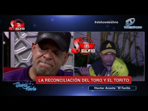 LA RECONCILIACIÓN DEL TORO Y EL TORITO. EL SHOW DE SILVIO.