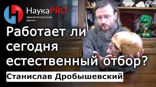 Работает ли естественный отбор сегодня? 