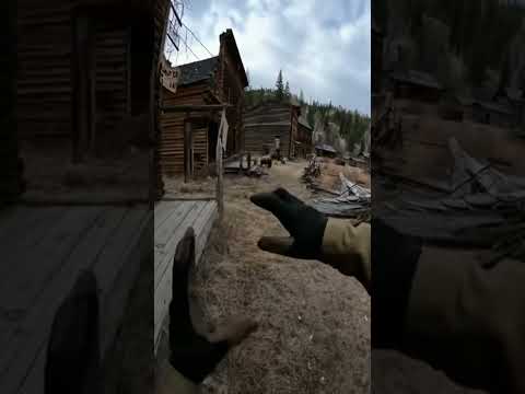 Bear charge body cam footage in Montana ghost town