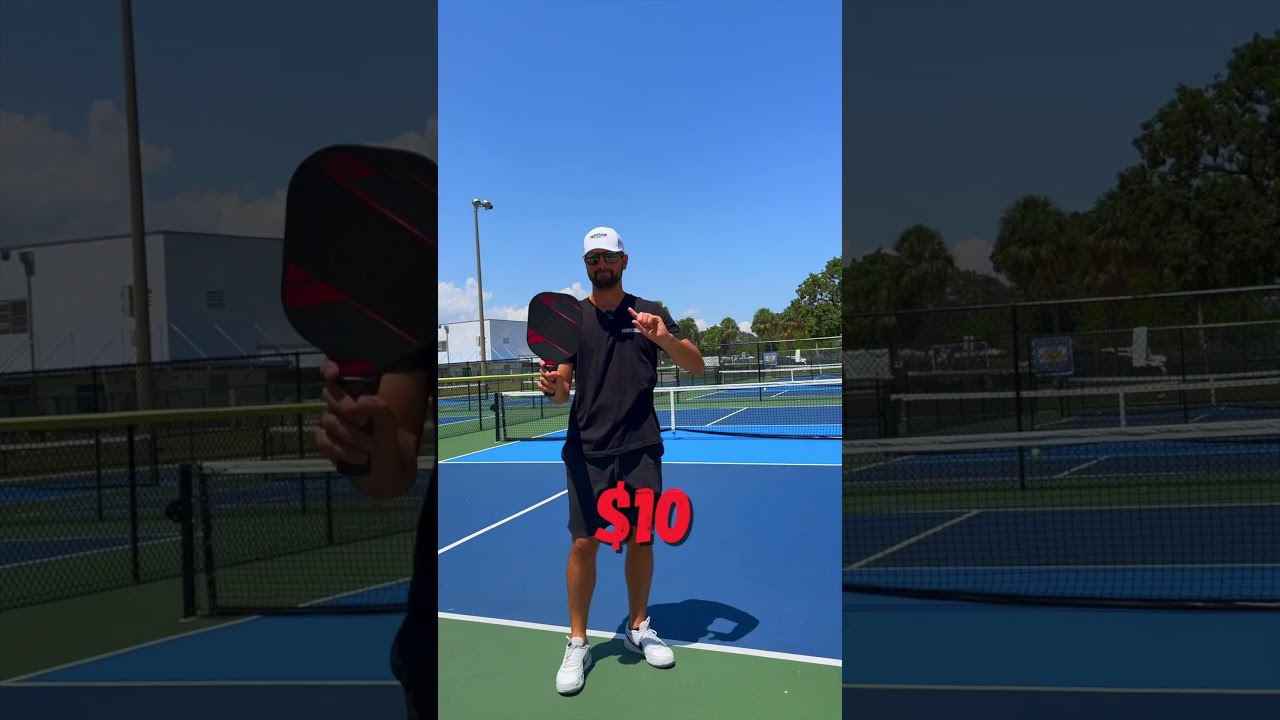 $10 vs. $100 Pickleball Paddle!