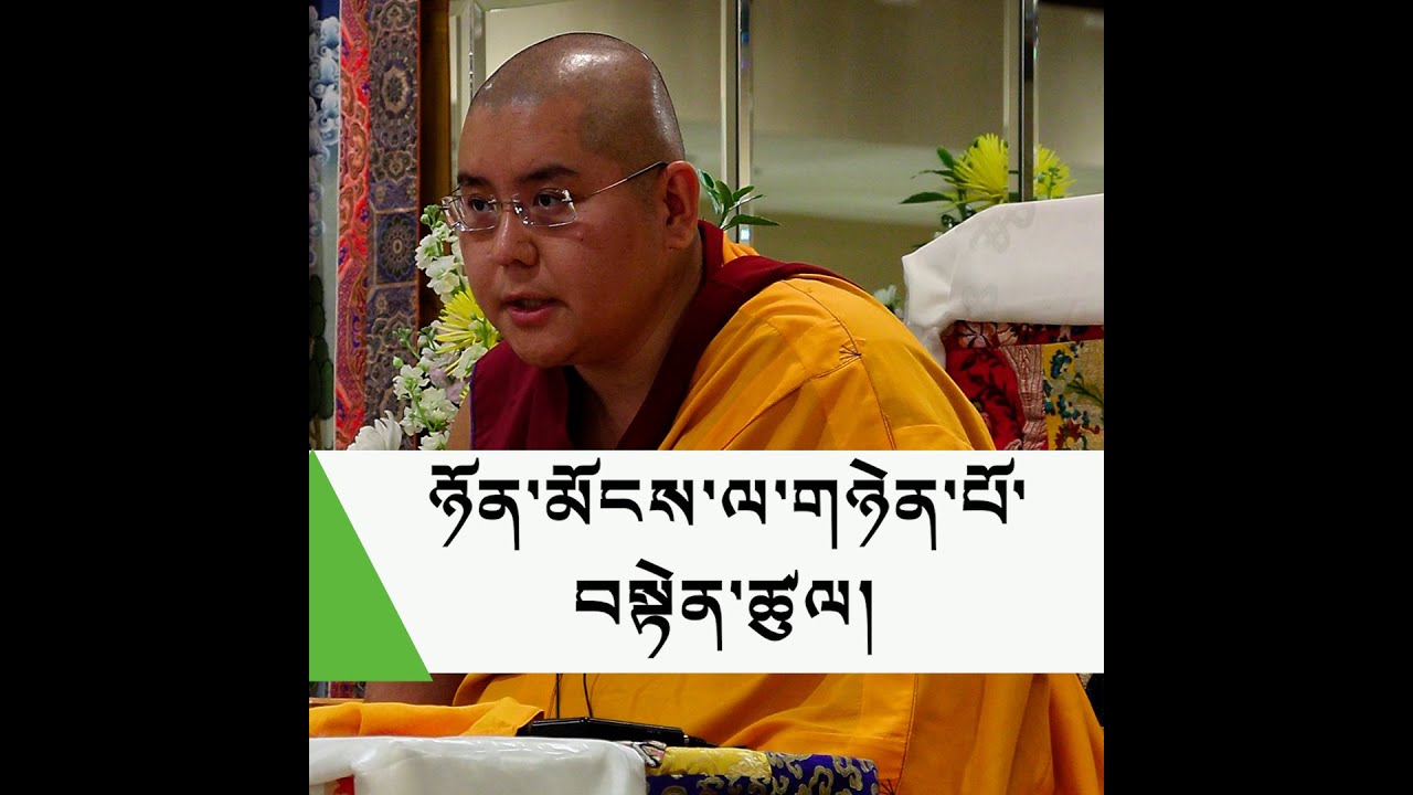 ཉོན་མོངས་ལ་གཉེན་པོ་བསྟེན་ཚུལ་ཐོག་ལ་ལམ་སྟོན། HE Ling Rinpoche begins teaching in Washington DC