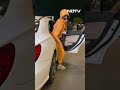 Nora Fatehis OOTD Is Yellow Co-Ord Set - 00:35 min - News - Video