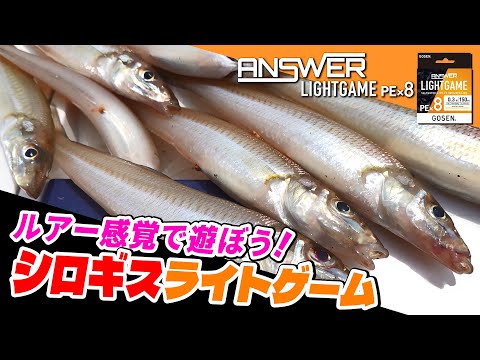 【シロギス】釣り味アップの鍵はこれ！ビンビン感じるルアー感覚のライトゲーム