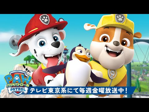 パウ・パトロール | パウ・パトロールのベストレスキュー、動物編90分🦫🐠🐔マーシャルとラブルと一緒 | テレビ東京系にて放送中