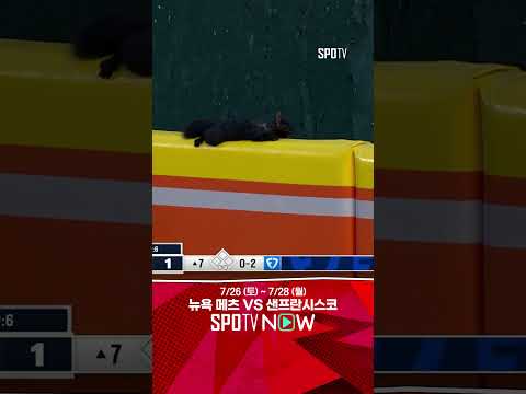 [MLB] ‘여긴 어디…’ 청설모, 야구장서 출구 찾기 대작전! (07.25)