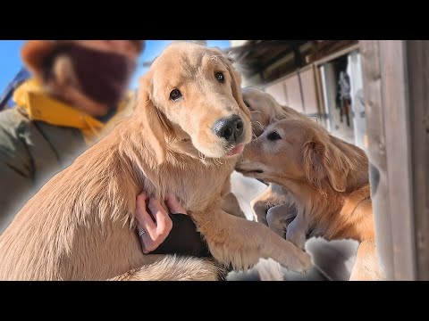 【5ヶ月】甥っ子がマックスそっくり過ぎてヤバイww