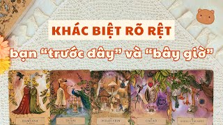 👑 Bản Thân: Tarot | Sự khác biệt rõ rệt giữa bạn của trước đây và bây giờ 