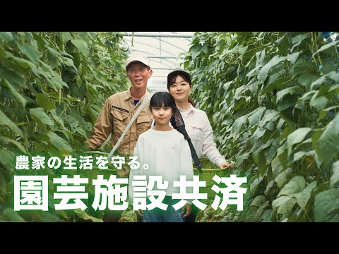 園芸施設共済制度（ドラマ編）～農家を守る園芸施設共済～      #農業保険、#農業共済、#園芸施設共済、#ハウス農家