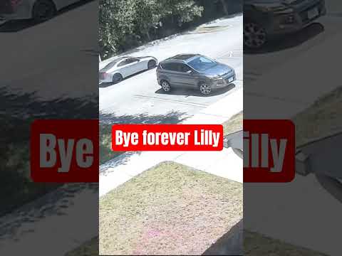 It hurt to see you go #viralvideo #viral #fyp #infinitig35