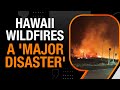 Death Toll In Hawaii Fires Crosses 50 | Hawaii Wildfires Update | News9