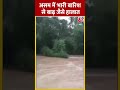 Assam में भारी बारिश से बाढ़ जैसे हालात #shorts #shortsvideo #viralvideo  - 00:56 min - News - Video