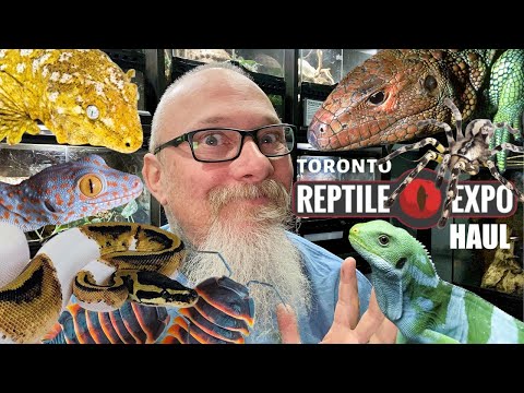 What did I get at the first Canadian Reptile Expo  WOW What an incredible Reptile Expo! First one of 2024 did not disappoint. As Im not normally availa
