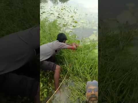 Fishing 🎣 #fishing #viral #shortsfeed #trending #cartoon