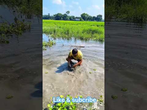 এইডা কনো কথা হলো #funny #funnyvideos #funnycomedy #foryou #comedy #viralshortvideo #cinematic
