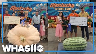 Kentucky State Fair crowns winners of largest pumpkin, watermelon contest