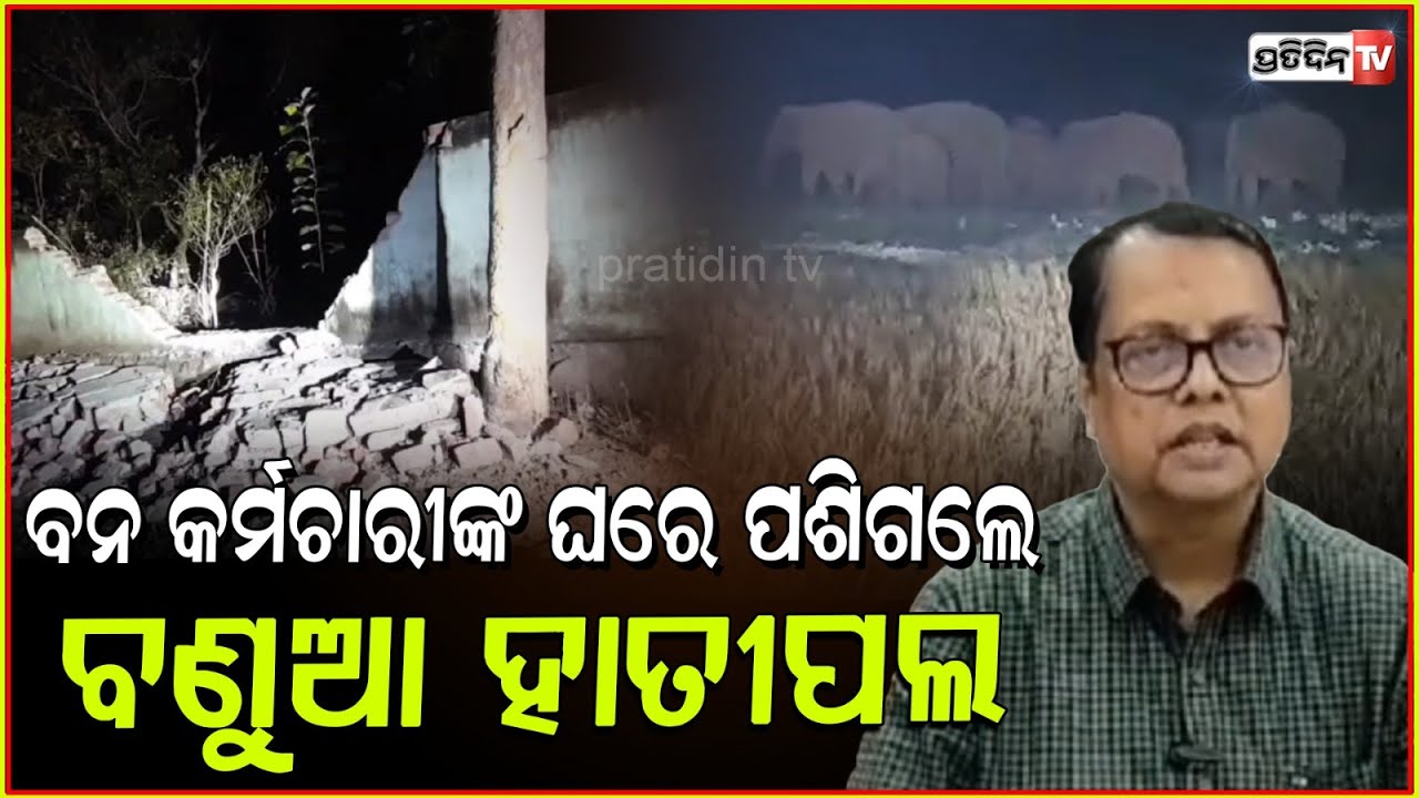 ଫରେଷ୍ଟ ୱାଲ୍ ଭାଙ୍ଗିଲେ ୨୭ ଟିକିଆ ବଣୁଆ ହାତୀ ପଲ ! Elephants create havoc in Ganjam's Bhanjanagar.