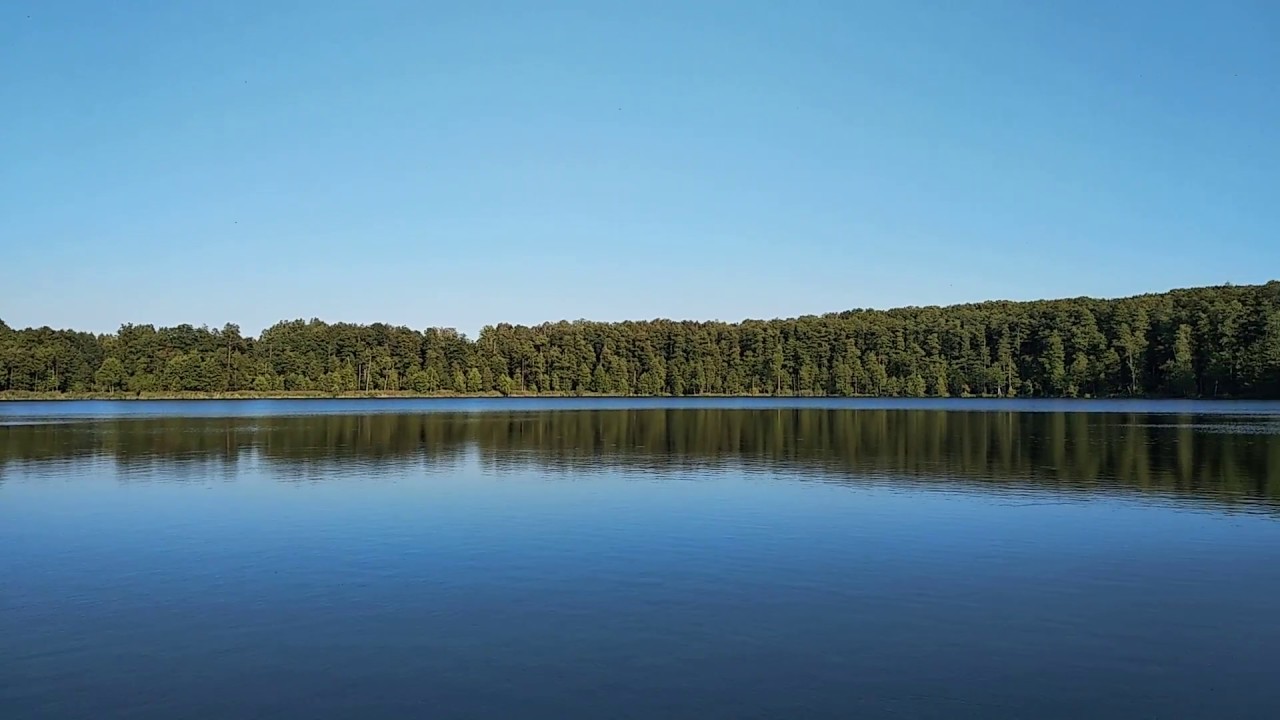 Брянская область озеро святое рыбалка