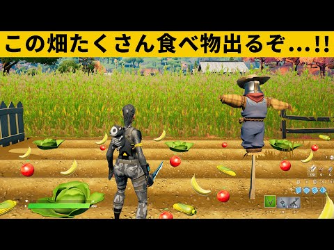 【小技集】食べ物がバグってるチート畑知ってますか？シーズン８最強バグ小技裏技集！【FORTNITE/フォートナイト】