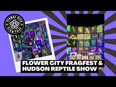 Art Show Travels -Reptile show and Fragfest Follow us out through Western NY to the Flower City Fragfest in Rochester NY, then the next day to P