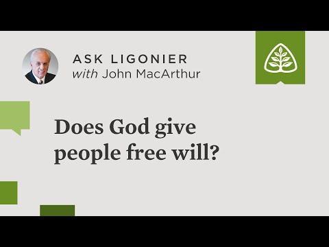 Does God give people free will?