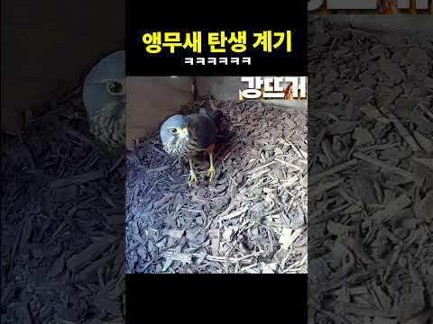 알았어 <strong>줄게</strong>