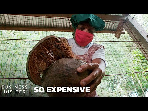 Why Coconut Oil Is So Expensive | So Expensive