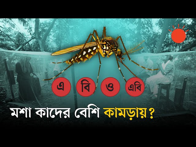 কোন খাবার খেলে ও কী রঙের পোশাকে মশা বেশি কামড়ায় | Mosquitoes Are Attracted to You? | Prothom Alo