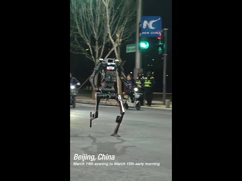 Humanoid robots complete first half-marathon trial at midnight in Beijing