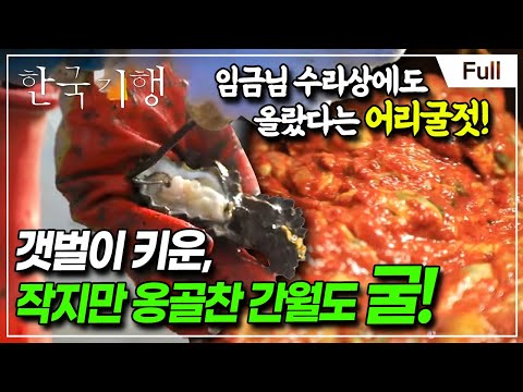 [Full] 한국기행 - 바다야 고마워 5부 할머니의 굴