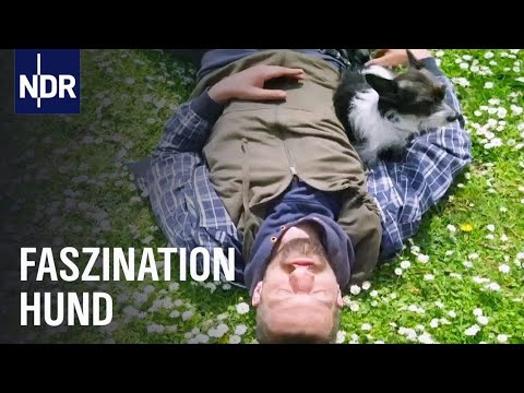 Jagen, überleben, gewinnen - Was die Mensch-Hund-Beziehung so besonders macht | HundeMenschen | NDR