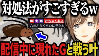 【まとめ】配信中に現れたGと8年ぶりに戦う叶www【叶/にじさんじ切り抜き/ストグラ切り抜き】