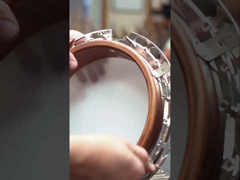 Banjo Head Construction with Quality Care #music #banjos #BélaFleck #jazz #bluegrass #folk