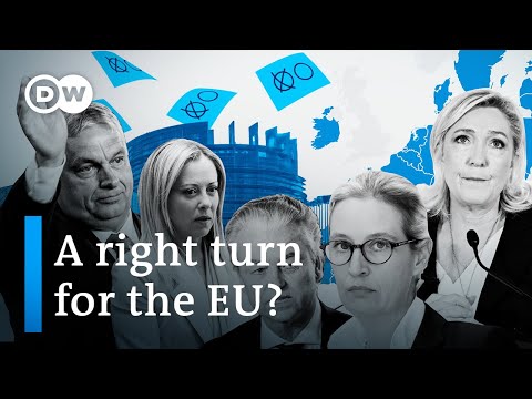 EU elections: Could far-right parties take over the European Parliament? | Focus on Europe