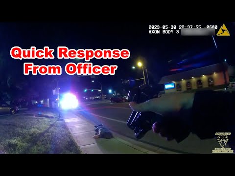 Officer Frees His Hands To Access His Gun In Debacle